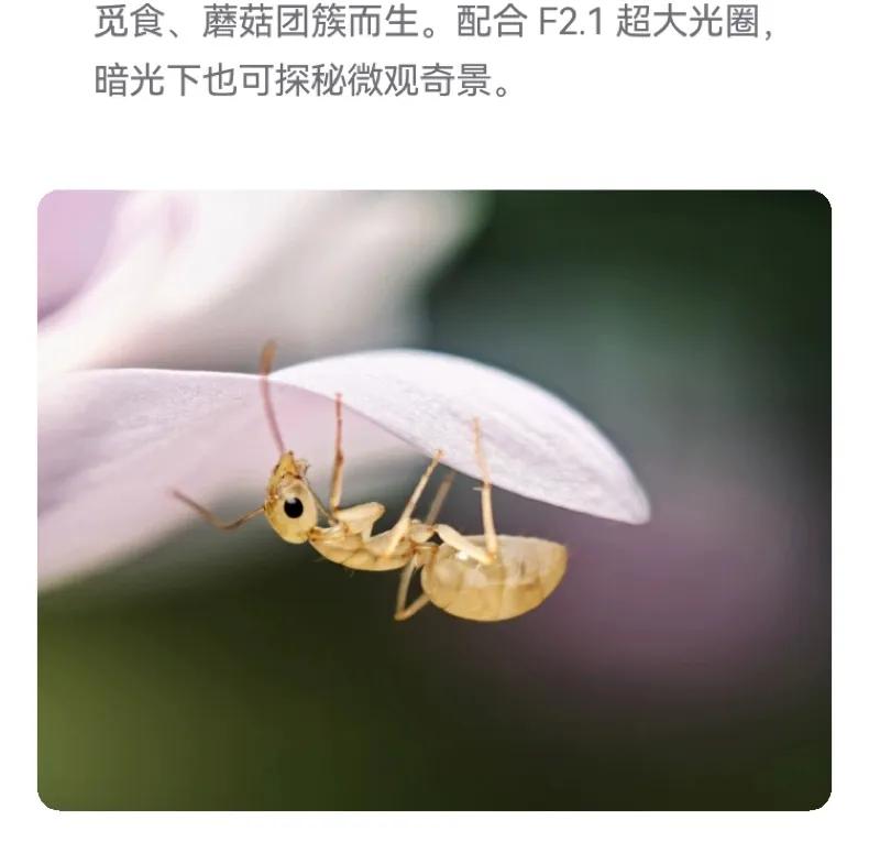華為手機(jī)作為國(guó)產(chǎn)手機(jī)之光,那各個(gè)價(jià)位的華為都怎么樣?